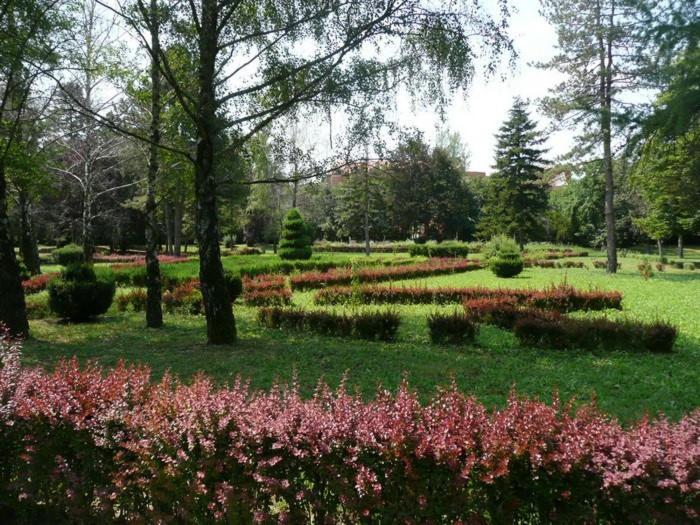 Apartman Ana Bečej Dış mekan fotoğraf